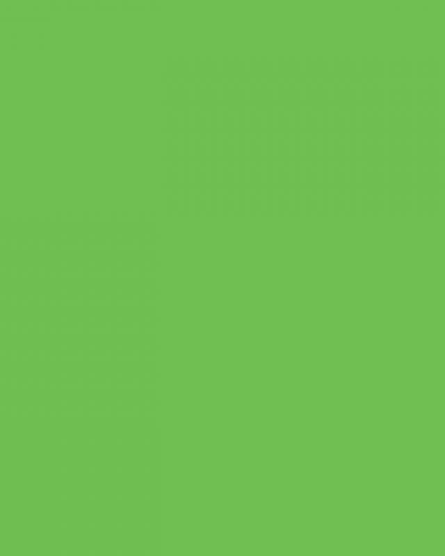 Feuille Flex Révolution Vert Pomme - Maison Klem